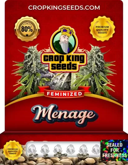 Menage Strain