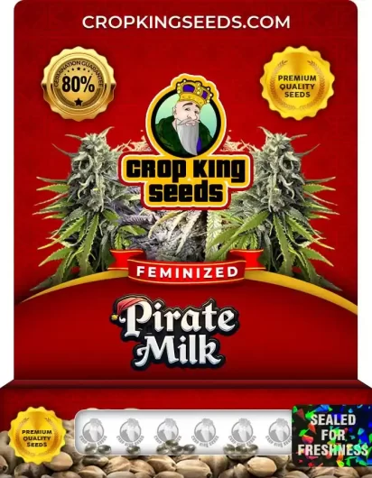 Pirate Milk Strain