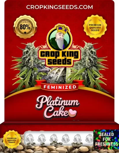 Platinum Cake Strain