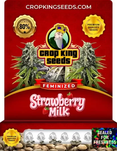 Strawberry Milk Strain
