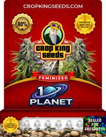 10th Planet Feminized