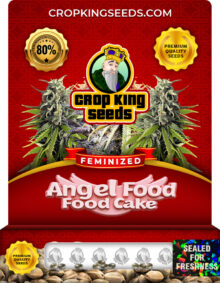 Angel Food Cake Strain Feminized