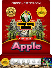 Apple Strain Feminized