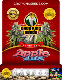 Apple Jax Strain Feminized
