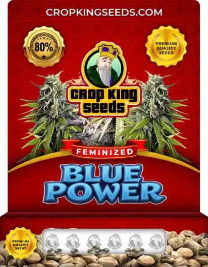Blue Power Strain