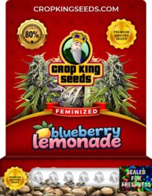 Blueberry Lemonade Strain