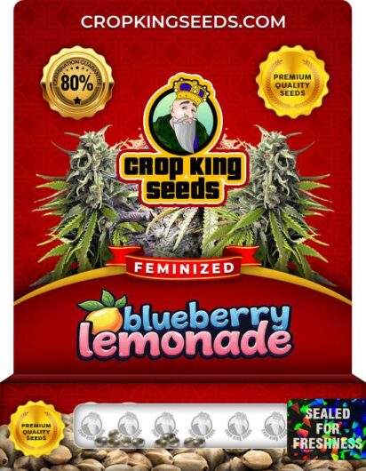 Blueberry Lemonade Strain