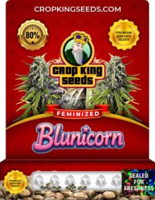 Blunicorn Strain