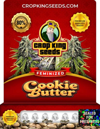 Cookie Butter Feminized