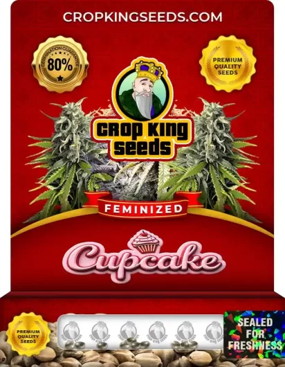 Cupcake Feminized