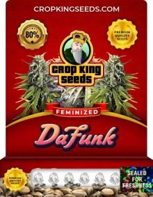 Da Funk Feminized