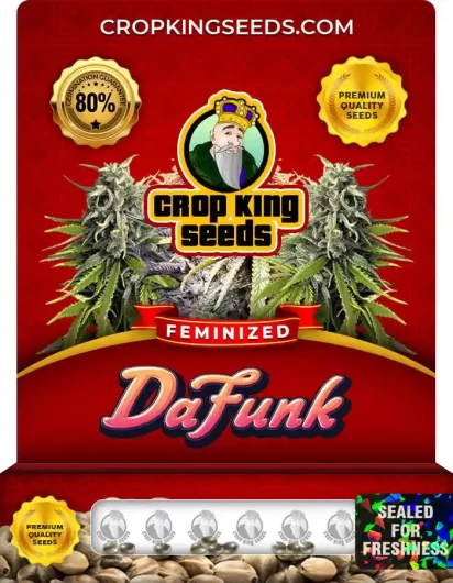Da Funk Feminized