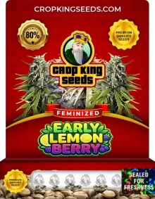 Early Lemon Berry Feminized