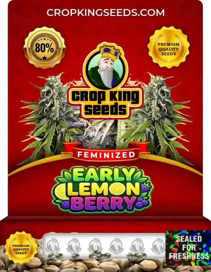 Early Lemon Berry Feminized