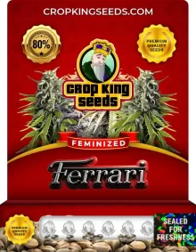 Ferrari Feminized
