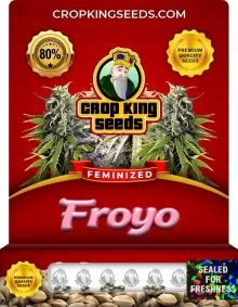 Froyo Feminized