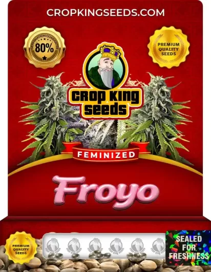 Froyo Feminized
