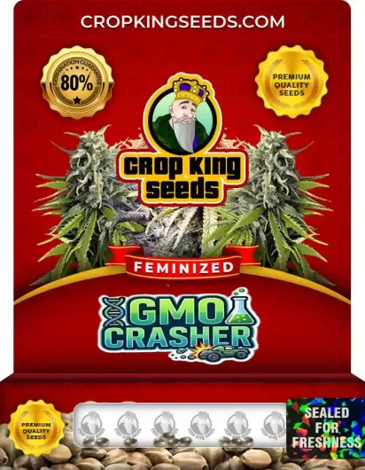 GMO Crasher Feminized