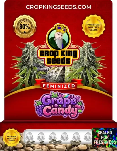 Grape Candy Feminized