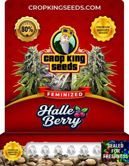 Halle Berry Feminized