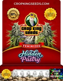 Hidden Pastry Feminized