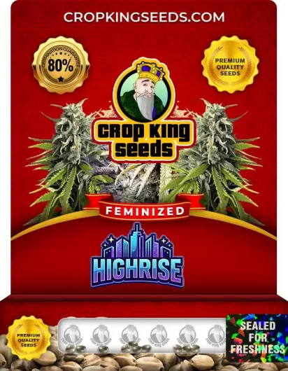 Highrise Feminized
