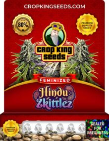Hindu Zkittlez Feminized