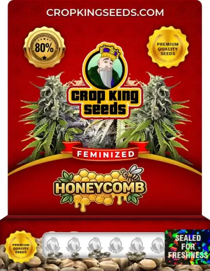 Honeycomb Feminized