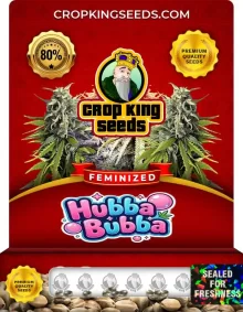 Hubba Bubba Feminized