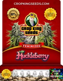 Hulkberry Feminized