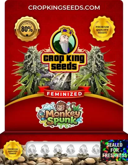 Monkey Spunk Feminized