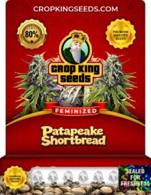 Patapeake Shortbread Strain Feminized Marijuana Seeds