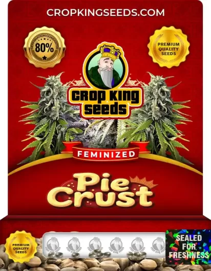 Pie Crust Feminized
