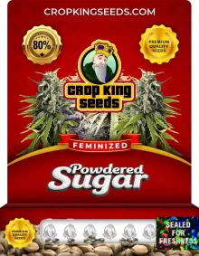 Powdered Sugar Feminized