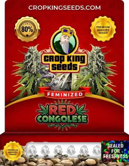Red Congoles Feminized