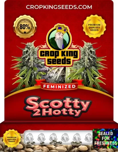 Scotty 2 Hotty Feminized