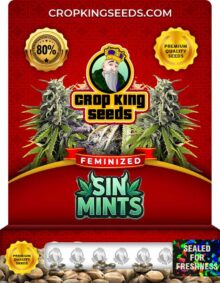 Sin Mints Feminized