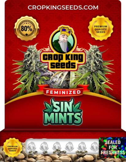 Sin Mints Feminized
