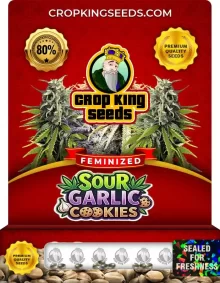 Sour Garlic Cookies Feminized