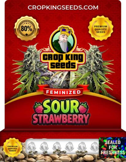 Sour Strawberry Feminized
