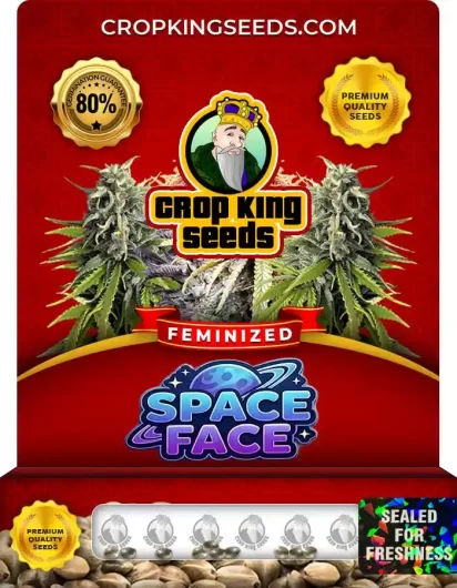 Space Face Feminized