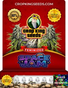 Space Jam Feminized