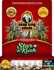 Star Kush Feminized