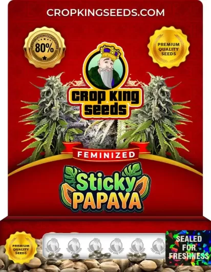 Sticky Papaya Feminized