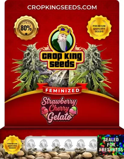 Strawberry Cherry Gelato Feminized