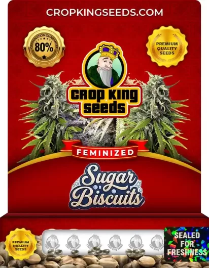 Sugar Biscuits Feminized