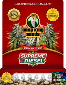 Supreme Diesel Feminized