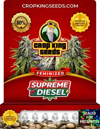 Supreme Diesel Feminized