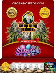 Sweeties Feminized