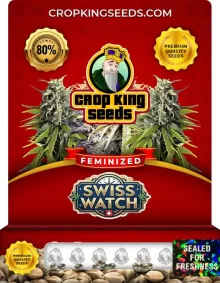 Swiss Watch Feminized